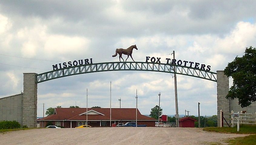 Missouri Fox Trotter showground north of Ava, Missouri