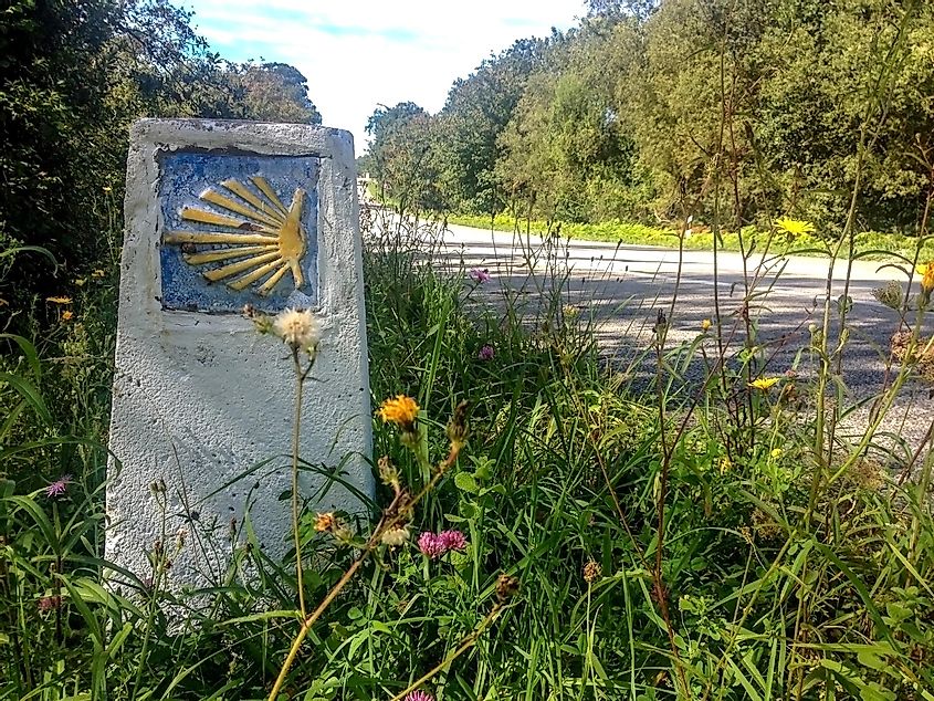 A stone pillar amongst the roadside grass and wildflowers showing the Camino de Santiago yellow and blue scallop shell