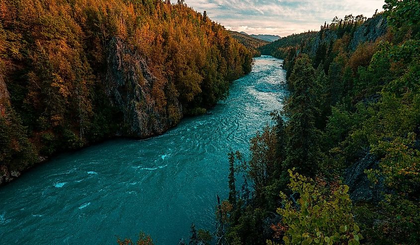 Kenai River flowing blue among Alaska's autumn colors