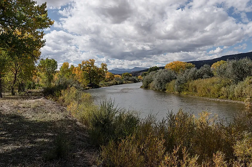 The Rio Grande near Alcalde, New Mexico.