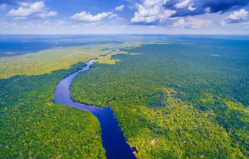 The Amazon River in Brazil. 