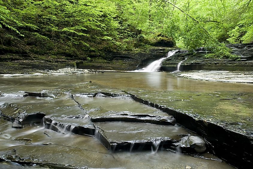 One of the waterfalls in the Filmore Glen State Park forests in New York. Credit: Michael Shake/ Shutterstock.com