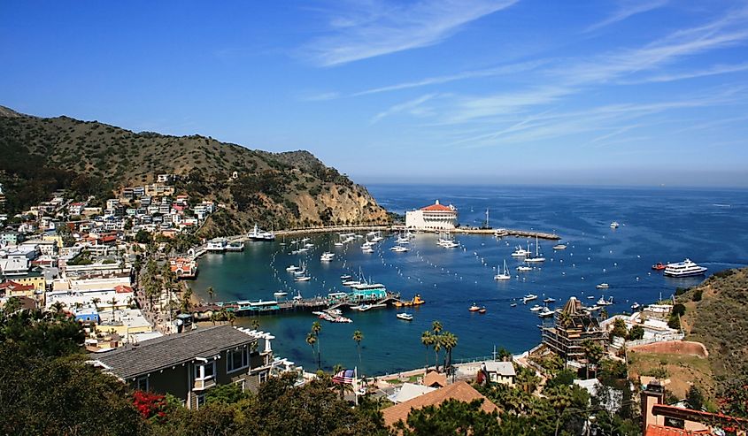 View from above of the bay and casino, Avalon, Santa Catalina Island, California