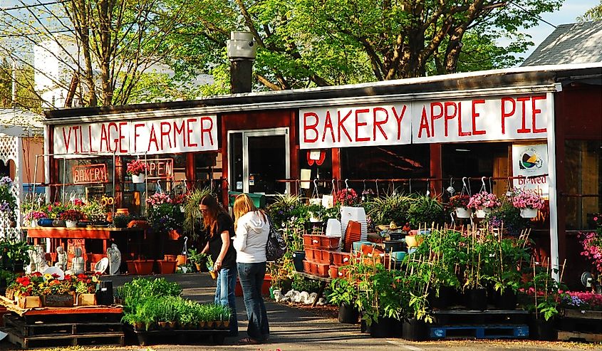 Two adult women shop for spring plants at a roadside farm stand in Delaware Water Gap, Pennsylvania