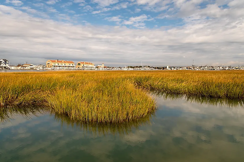 Coast of Cape May, New Jersey.