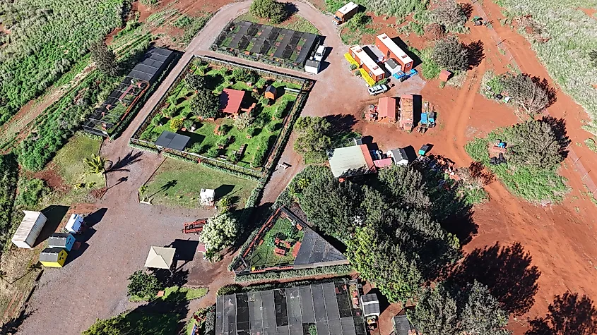Lanai Cat Sanctuary, Hawaii.