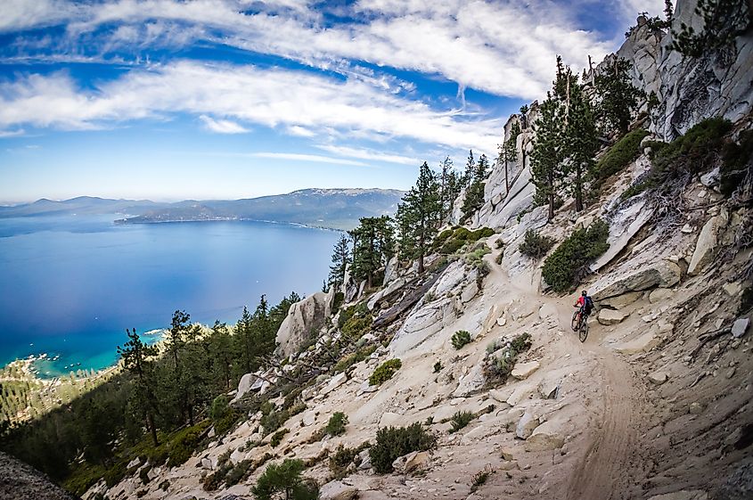 Mountain biker on the Tahoe Flume Trail.