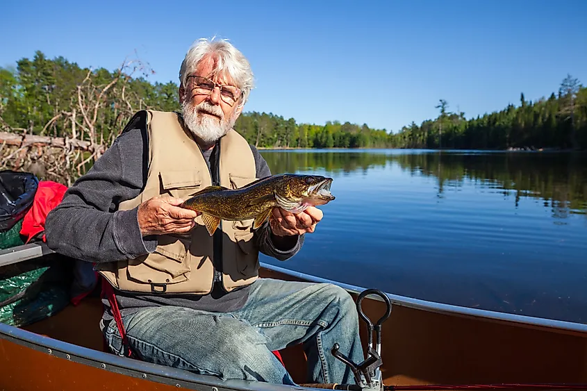 Fisherman caught a Walleye