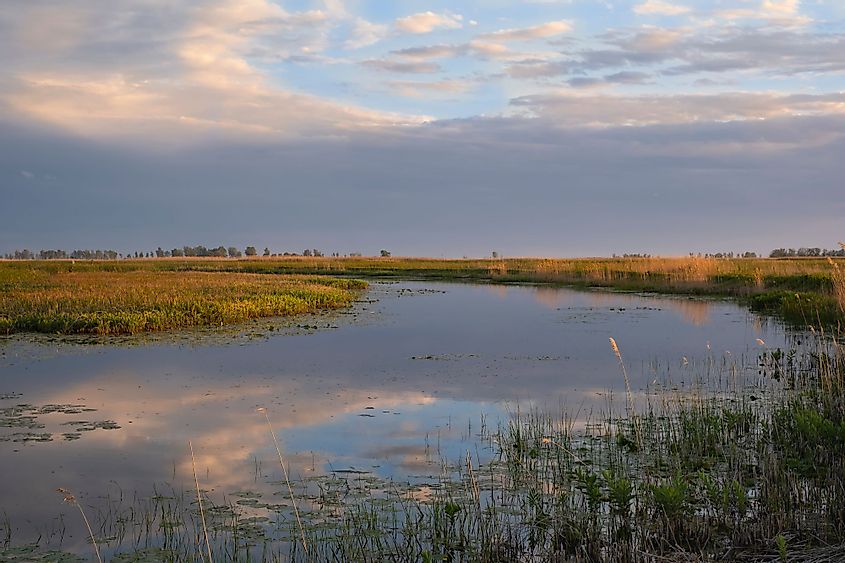 Sunset scene at swamps and wetlands of Big Creek National Wildlife Area near Long Point Provincial Park, Lake Erie shore