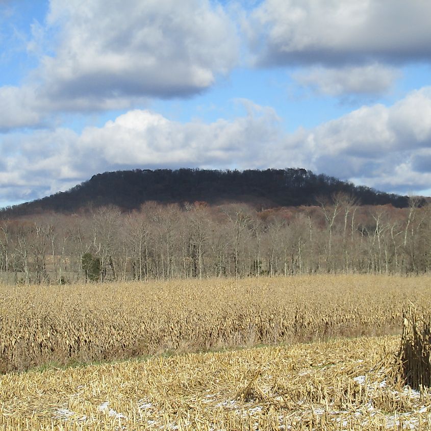 Fort Hill Earthworks viewed from a distance.