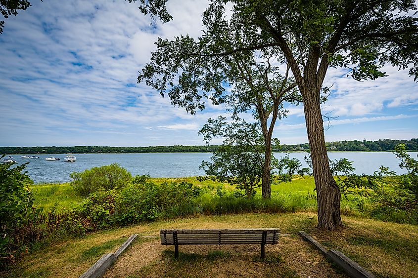 Orelans cape cod