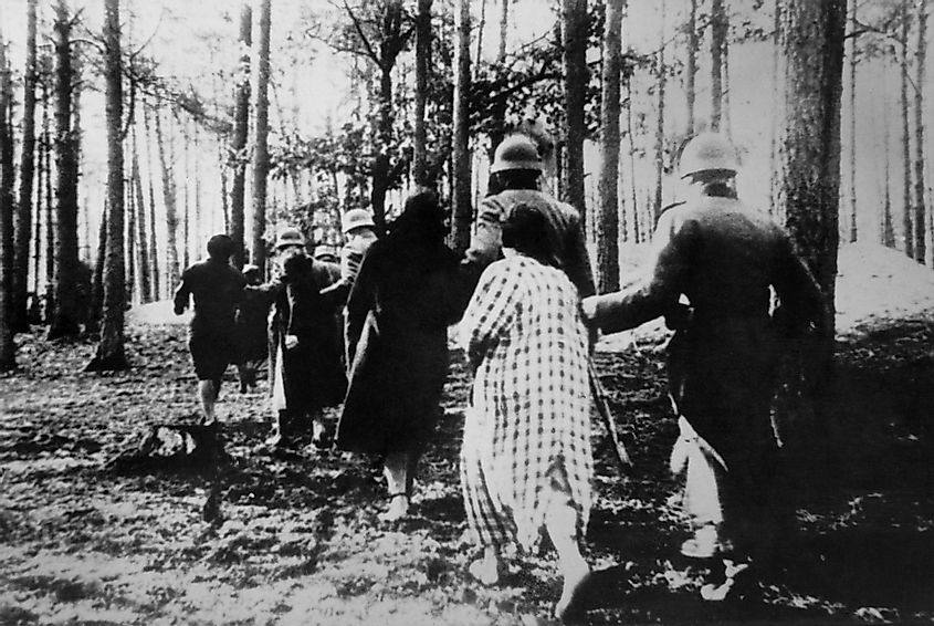 Polish women led by soldiers through woods to their execution during World War 2.