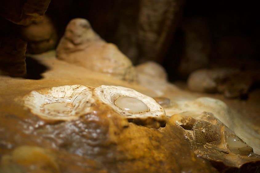 The Fried Eggs rock formation at Luray Caverns