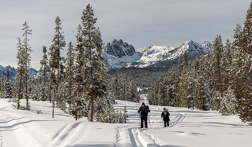 Winter wilderness Idaho forest with snow in the trees and a mountain range