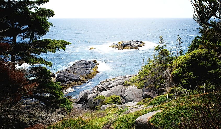 A view of the ocean from the trail on Monhegan Island Maine