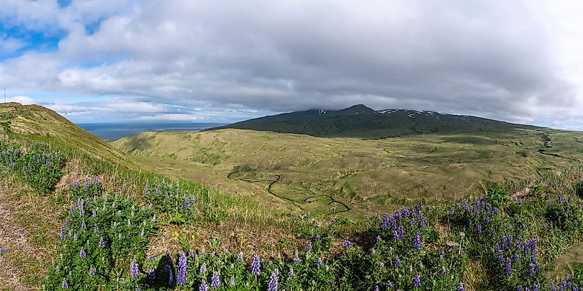 View of a valley located in the Andreanof Islands.
