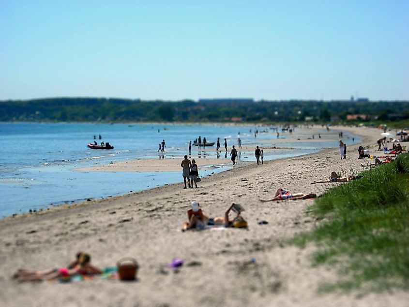 Sandy beaches form most of the coastline of the bay.