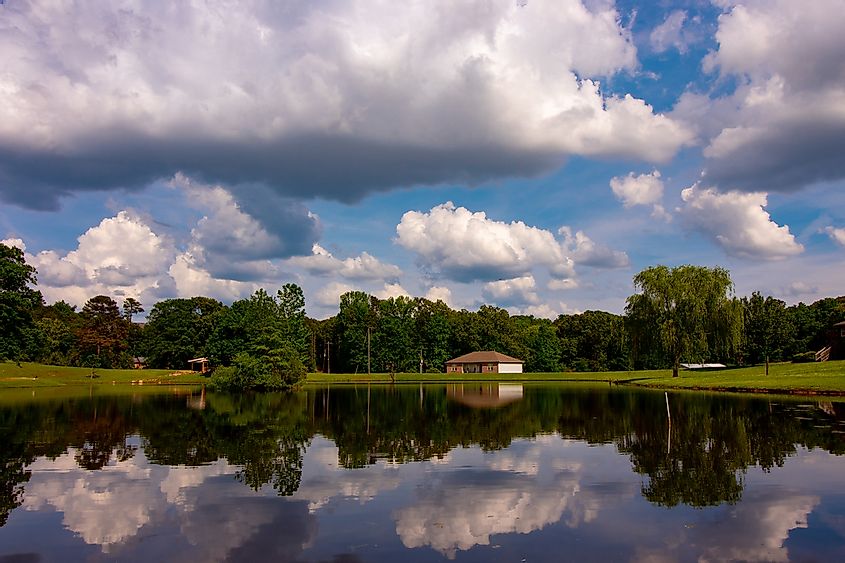 Small Southern Pond. Alabaster. Alabama