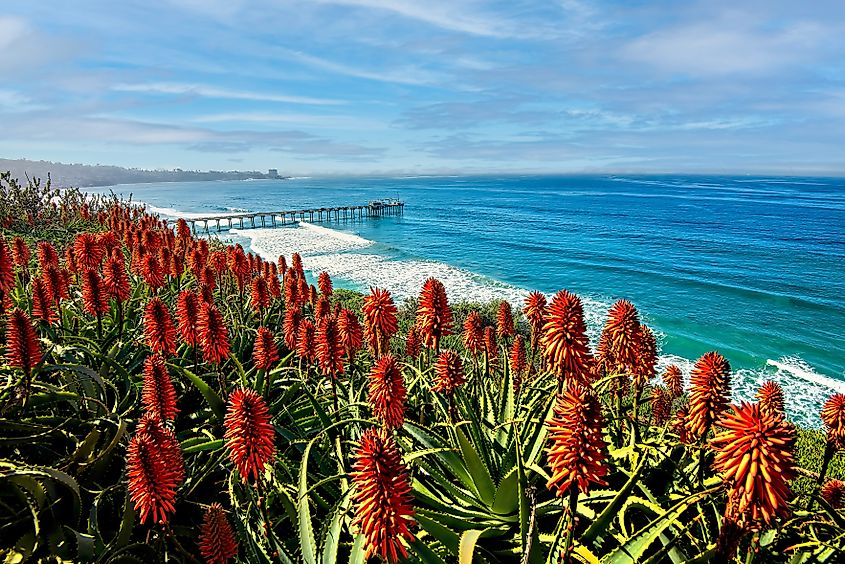 La Jolla, California, Scripps Pier
