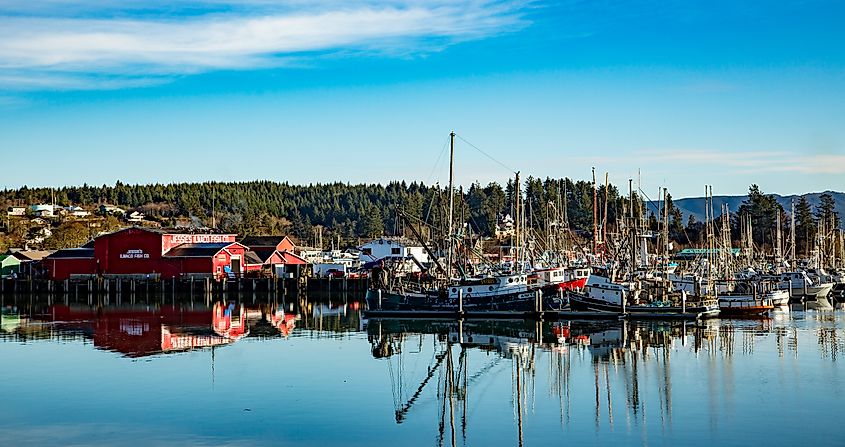 Commercial fishing boats docked at Ilwaco boat basin, Ilwaco