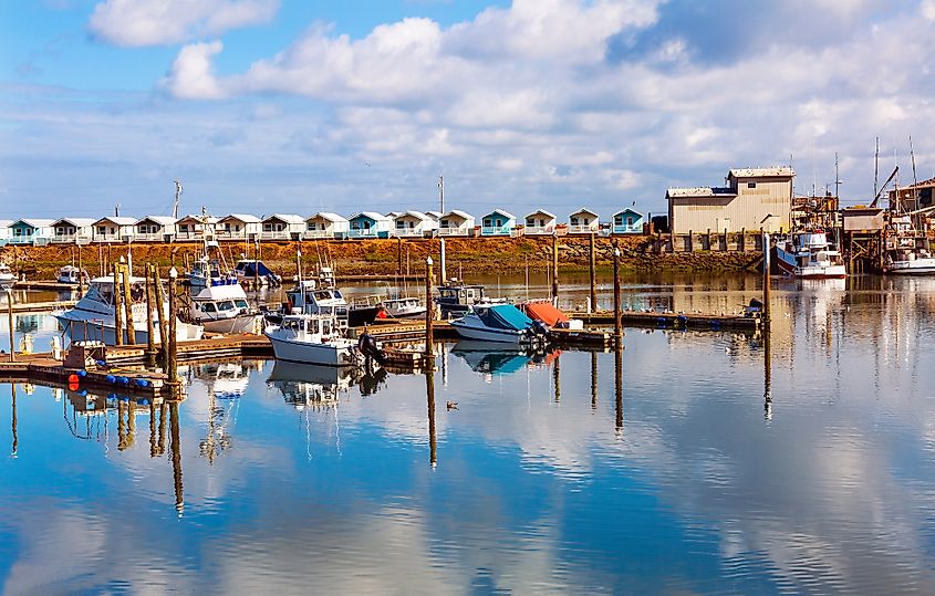 The marina at Westport, Washington.