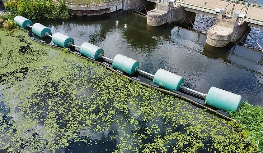 Algae bloom prevention device in river in front of dam