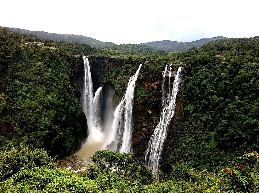 Jog falls,India