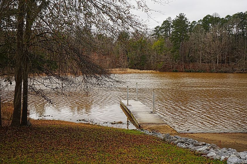 Roland Cooper State Park, Alabama.