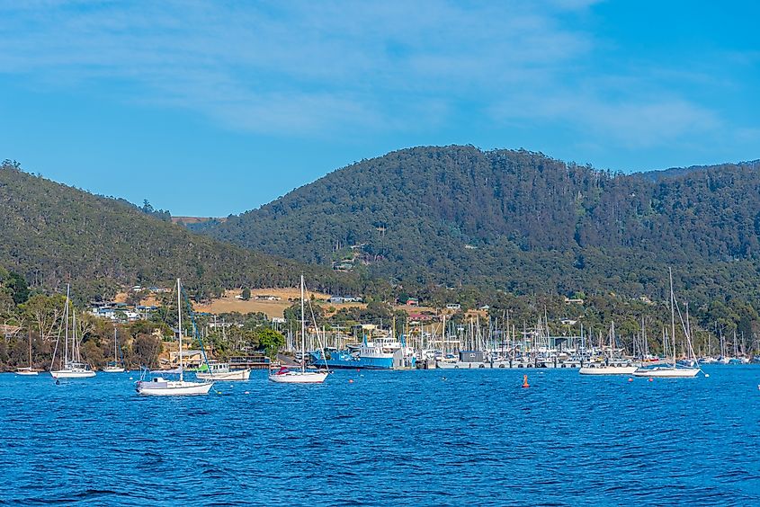 Boats at marina in Kettering, Australia