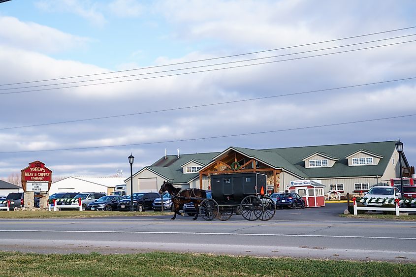 Amish buggy in Shipshewana, Indiana.