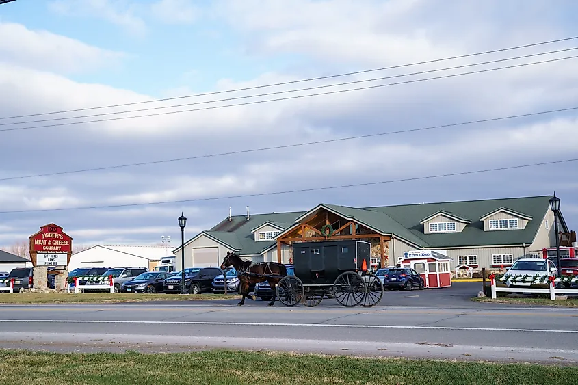 Amish buggies in Shipshewana, Indiana