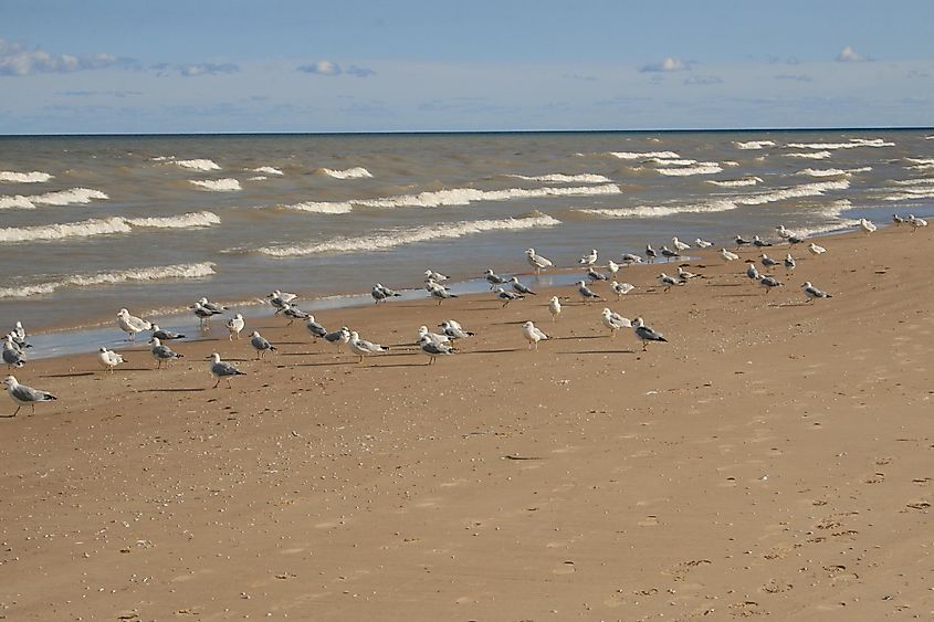 Lake Michigan's shores in Beverly Shores, Indiana.