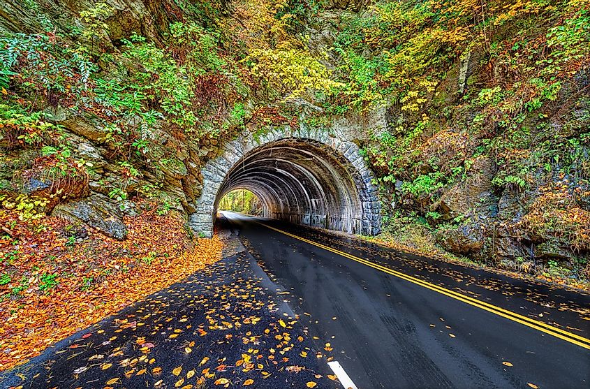 The landmark Smoky Mountains tunnel, located between Townsend, Tennessee, and Cades Cove, is surrounded by a vibrant display of autumn colors.