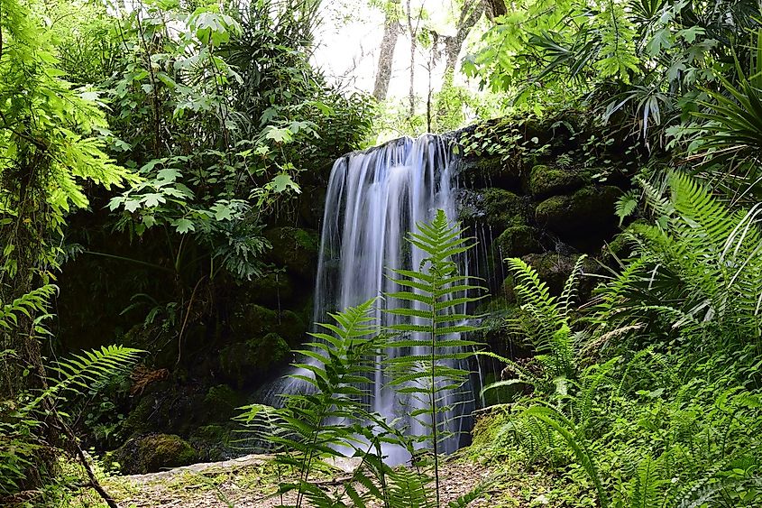 Rainbow Springs State Park, Florida