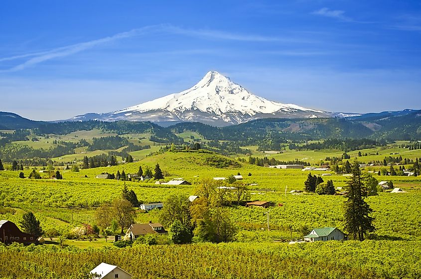Mount hood and hood river valley