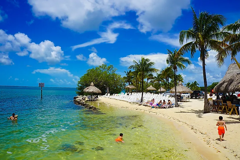 A beautiful beach in Key Largo, Florida