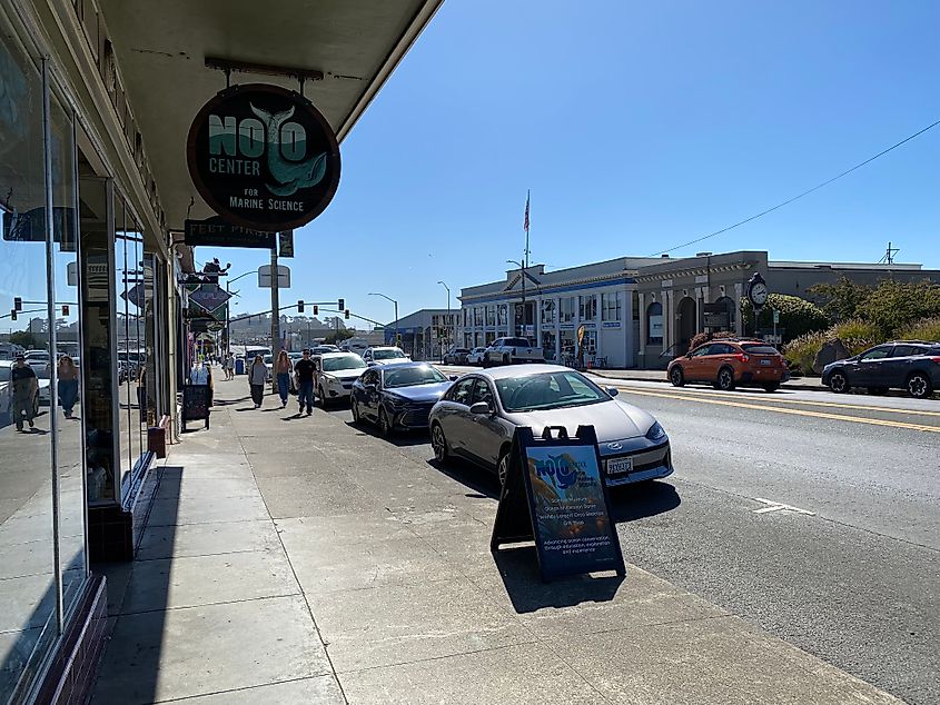 The sunny sidewalk outside of NOYO Marine Science Center in Fort Bragg, California