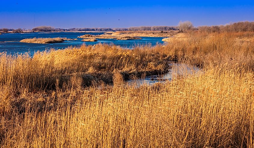 Landscape of Platte River, Nebraska in autumn.