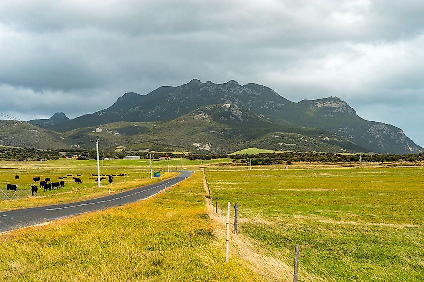 Mount Strzelecki, Flinders Island, Tasmania