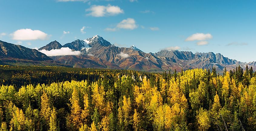 Fall is approaching in the Chugach National Forest, Alaska. Credit: Real Window Creative / Shutterstock