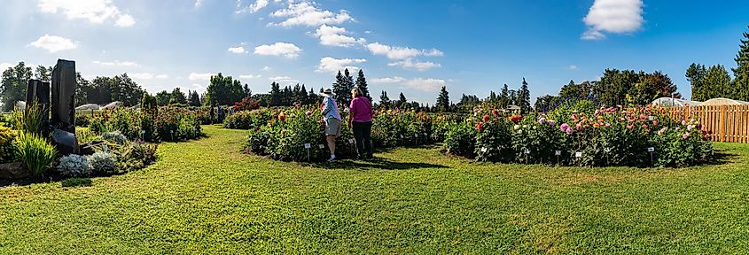 Canby, Oregon. Editorial credit: Michael Warwick / Shutterstock.com