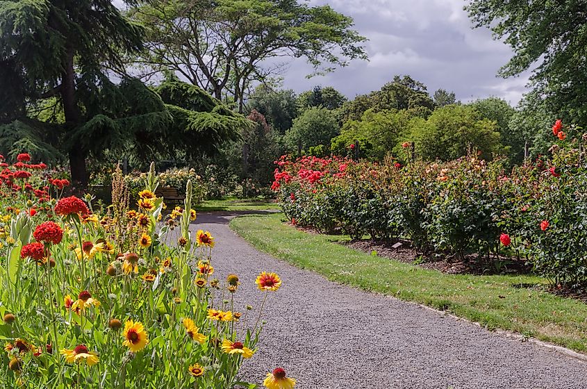 owen rose garden