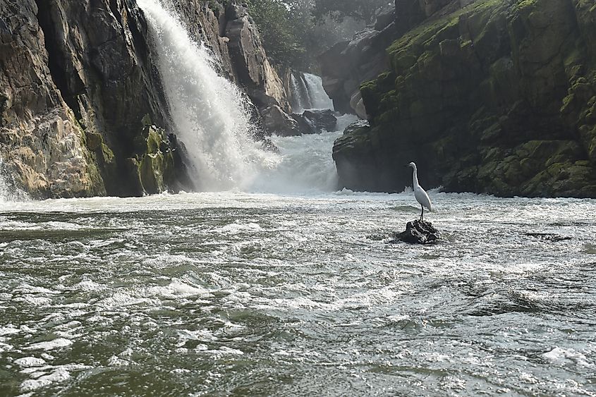 Hogenakkal Falls