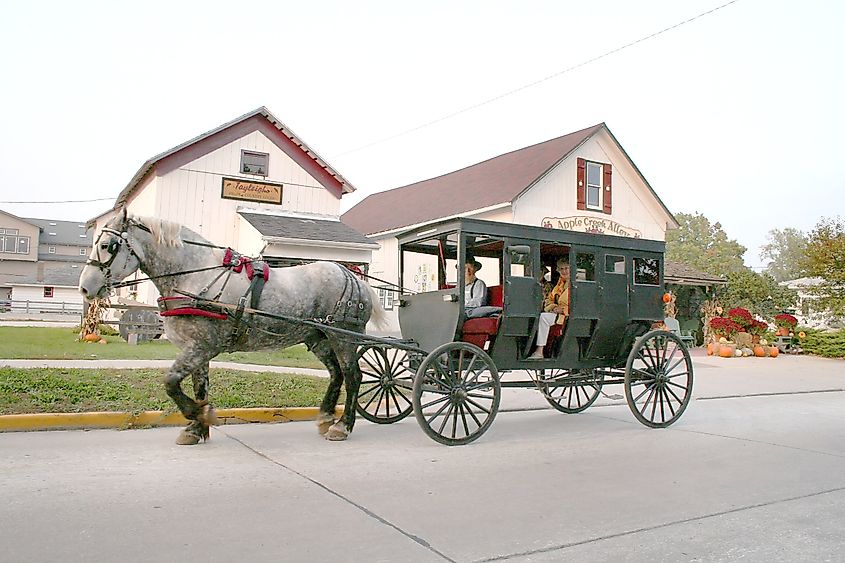 Horse and buggy in Shipshewana, USA