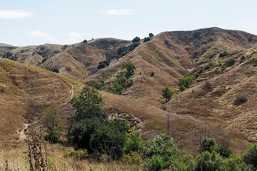 Panoramic view over the valley of the Bane Canyon in the Chino Hills State Park, California. 