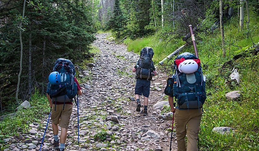 Men backpacking South Colony Trail in Sangre de Cristo Wilderness area