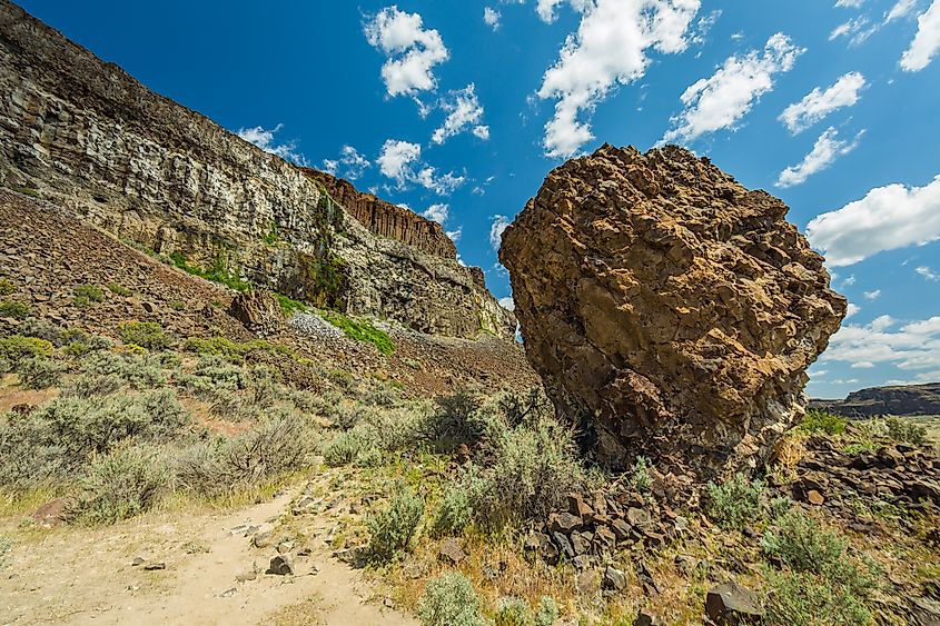 Ancient Lakes trail, near Quincy, Washington.
