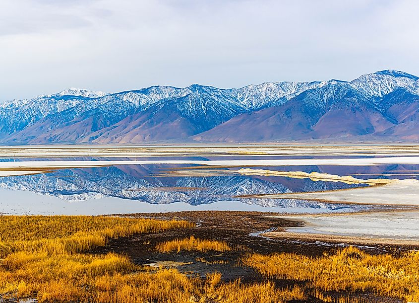 The Flooded Salt Flats of Owens Lake