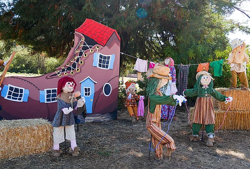 Decor for a festival in Cambria, California.