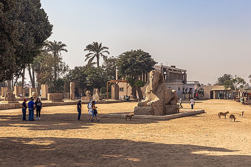 Sphinx Statue of Queen Hatshepsut in the ancient city of Memphis, Egypt